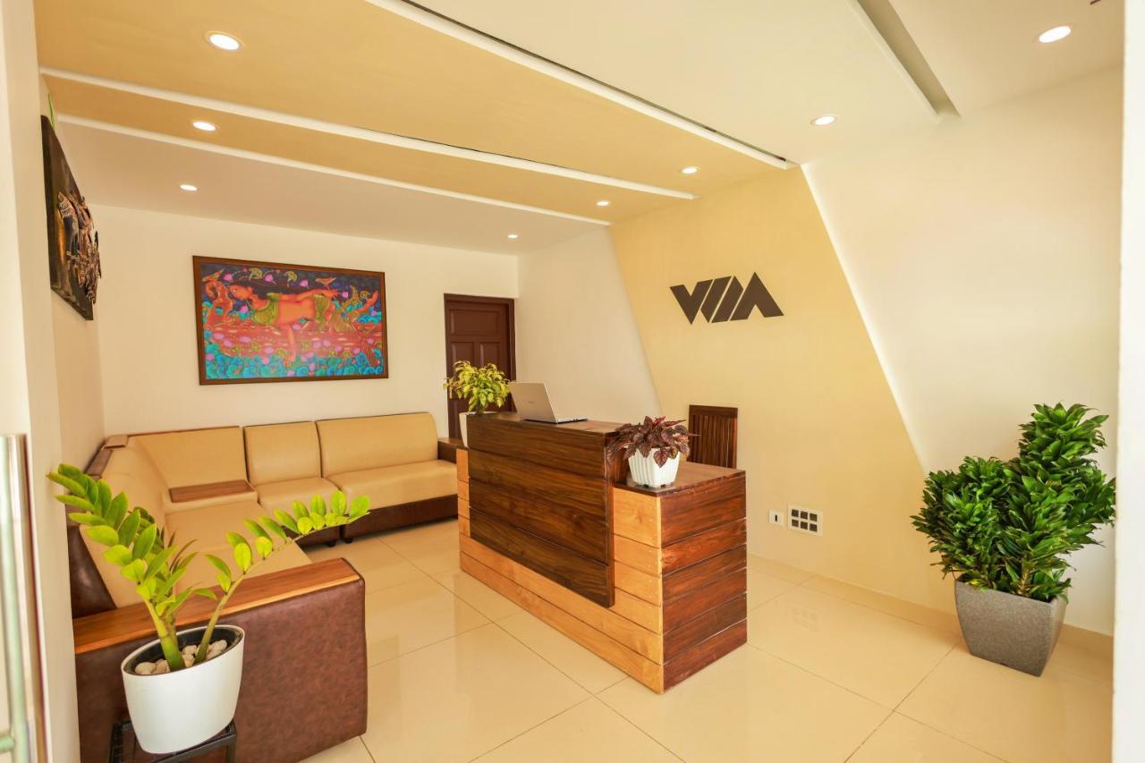 The Windy Mist Resort Munnar Chinnakanal Extérieur photo